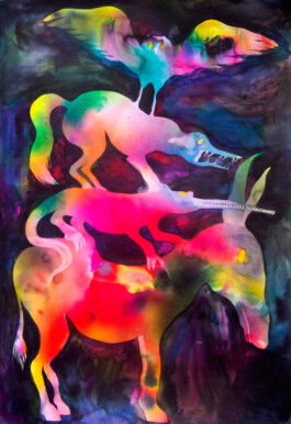 Elsa Dray-Farges